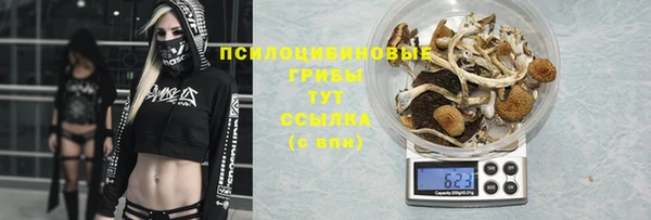 a pvp Нязепетровск